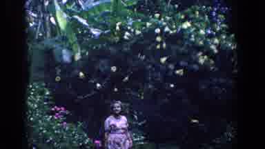 Florida (1958): Calm White Woman In Pink Dress Observing Plants And Flowers Into