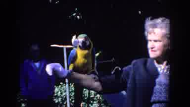 Florida (1958): Old Video Of An Old Lady Holding A Parrot While Her Husband Is In