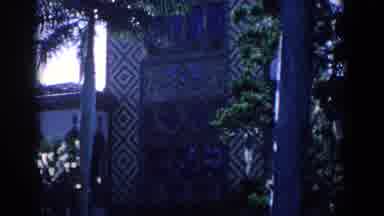 Florida (1958): Palm Trees Growing Outside Of An Old Building With Big Doors