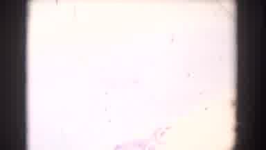 Florida (1958): Outdoor Fountain Exterior Of Tiled Building White Flash And