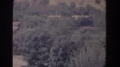 Florida (1958): View Of Green Trees And Brown Building Rooftops On A Sunny Day