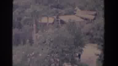 Florida (1958): Birds Flying Over Estate With Large Vegetation Area Heading