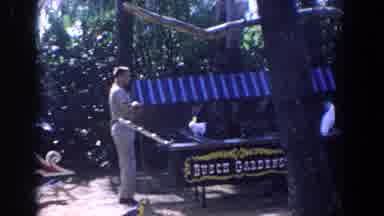 Florida (1958): Birds White Man Trees Show Steps Tarots Cockatoo Blue Cello Zoo