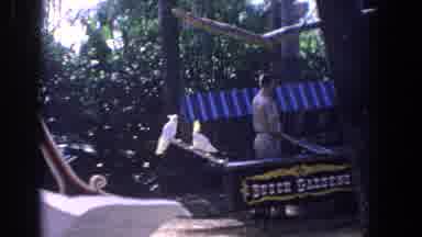 Florida (1958): Birds And A Man Around Them In A Place With A Sign Busch Gardens
