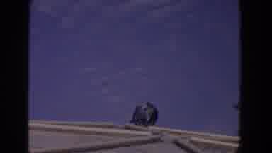 Florida (1958): Starting With A Blue Sky And Then A Gray Pelican Fixing Its