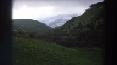 Italy (1958): View Of Green Vineyard And Person Wearing White Pants And Shirt