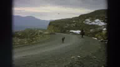 Italy (1958): Animal On A Trail Following A Man On A Horse