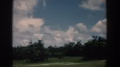 South Carolina (1958): Passing View Of Green Trees Blue Sky And White Clouds On A