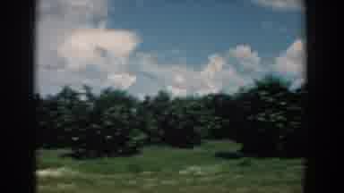 South Carolina (1958): Driving Through A Forest Area With Blue Skies