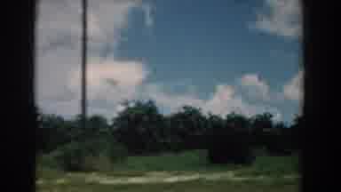 South Carolina (1958): Driving By The Orchard On The Side Of The Road