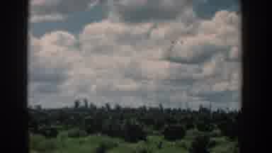 South Carolina (1958): A Beautiful Sky Of White Pillowed Clouds Above A Grove Of