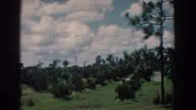 South Carolina (1958): Moving Landscape Of Trees And Roads From A South Carolina