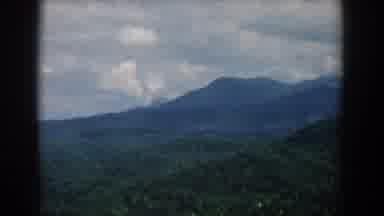 South Carolina (1958): A Cloudy Day Overlooking Miles Of Forest With Not A Trace