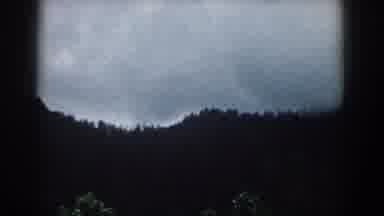 South Carolina (1958): Gloomy Forest On A Dark Stormy Afternoon On Vintage Camera