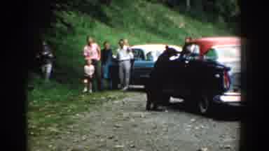 South Carolina (1958): People Walking In The Forest Find A Bear And Start Playing