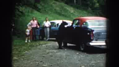 South Carolina (1958): People Standing Around Cars With A Bear Next To One Of Them