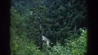 South Carolina (1958): The Camera Captures The Woods And The Mountains That Are