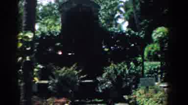 South Carolina (1958): Ambient Images With Lots Of Green