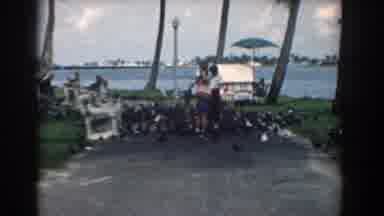 South Carolina (1958): Flock Of Birds Hangs Around Hot Peanuts Stand Near Body Of