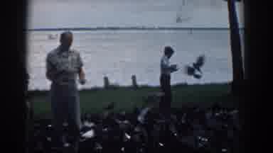 South Carolina (1958): Two People Feed Large Flock Of Birds On A Clear Day