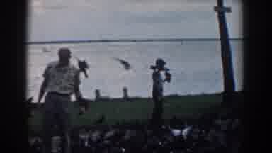 South Carolina (1958): Family In The Park Playing With Birds Smiling With Wind To