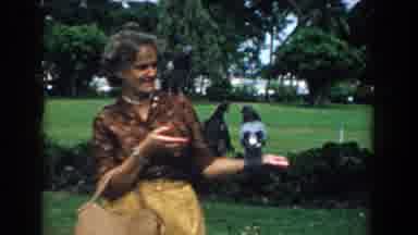 South Carolina (1958): Blue Pigeons Open Hand Feeding During The Day At The Park