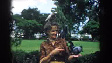 South Carolina (1958): Woman Feeding Pigeons On Her Head And Hands