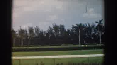 South Carolina (1958): View Of White Fountain And Palm Trees On A Clear Day