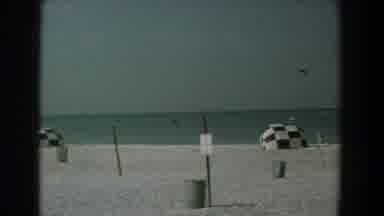 Yorktown Virginia (1958): Beach Sand Swimming Swimsuits On The Ocean With Seagulls
