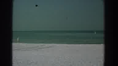 Yorktown Virginia (1958): Beach With People Birds Flying Around And Clear Skies