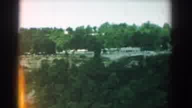 Yorktown Virginia (1958): A View Of A Beautiful Jungle With River Flowing From