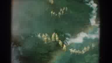 Yorktown Virginia (1958): People In Yellow Clothes In The Middle Of The Forest