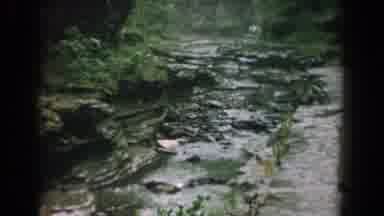Yorktown Virginia (1958): Stream Flows Gently Through Rocky Channel In Forest Area