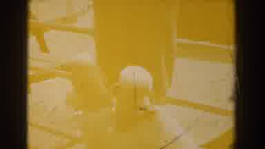 Yorktown Virginia (1958): The Poodles Sit On The Beach And Watch The People And