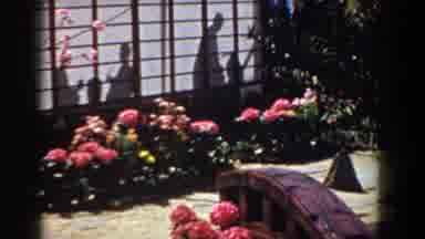 Yorktown Virginia (1958): Colorful Flowers Make A Japanese Garden Flourish While