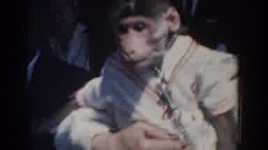 Yorktown Virginia (1958): Monkey White Outfit Grab Neck Beach Goer Towel Head
