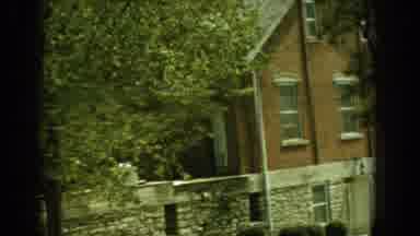 I'm not bragging, but my house has more trees than inhabitants!