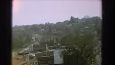 Florida (1959): View Of White Shed And Tree On A Sunny Day