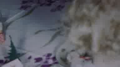Paramus New Jersey (1959): Baby Being Woken Up By A Bright Light And Looking