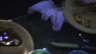 Paramus New Jersey (1959): Woman Feeding On Food On A Messy Table And With