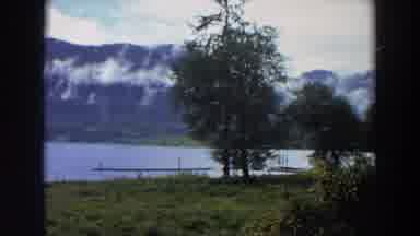 California (1964): Trees At Riverside And Mountains