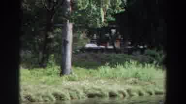 California (1964): Flowing Water In A Calm River Bed With Trees All Around