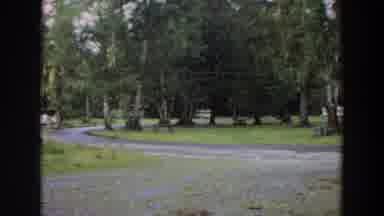 California (1964): Rich Green Trees Surrounding Park Benches In A Serene
