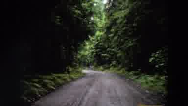 California (1964): Lake And Hillside Plus Roadway In Lush Green Forested Area
