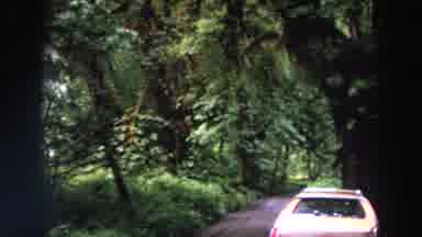 Washington (1964): Woods And Small Road With Parked Station Wagon By Large Tree