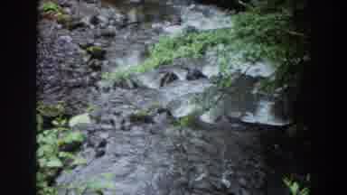 Washington (1964): River Flowing Through The Mountains Between Vegetation Stones