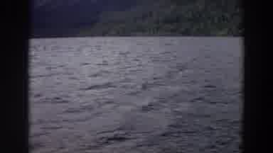 Washington (1964): Choppy Water From Wind With Green Forest On Shoreline