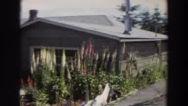 Washington (1964): External Area Of House Flowers Firewood Green Plants