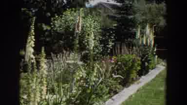 Washington (1964): A Garden On The Side Of Someone's House To Make It More