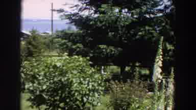 Washington (1964): View Of Red Deck And Green Trees On A Sunny Day